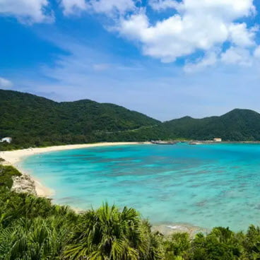 Okinawa - die Heimat der Sango Meeres Koralle