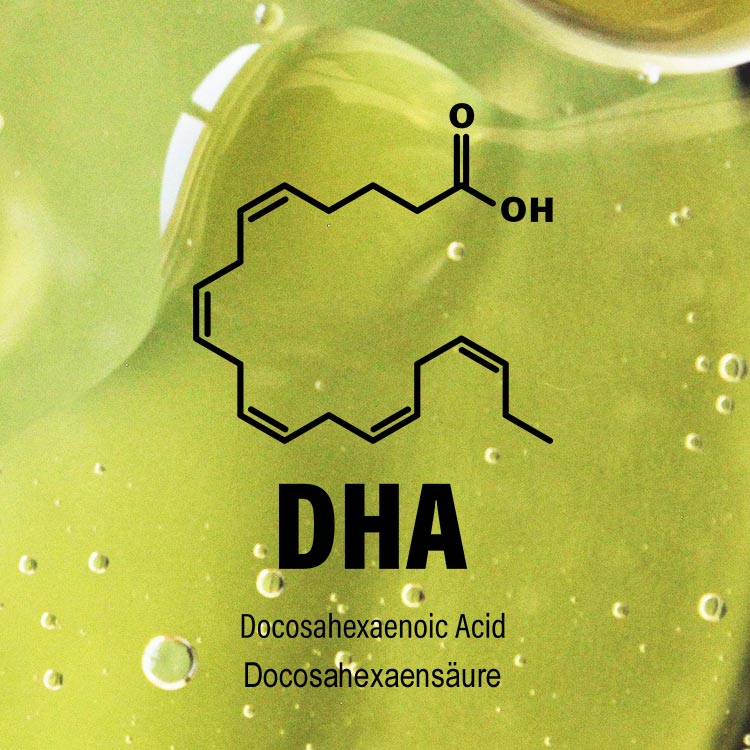 Chemische Struktur von DHA