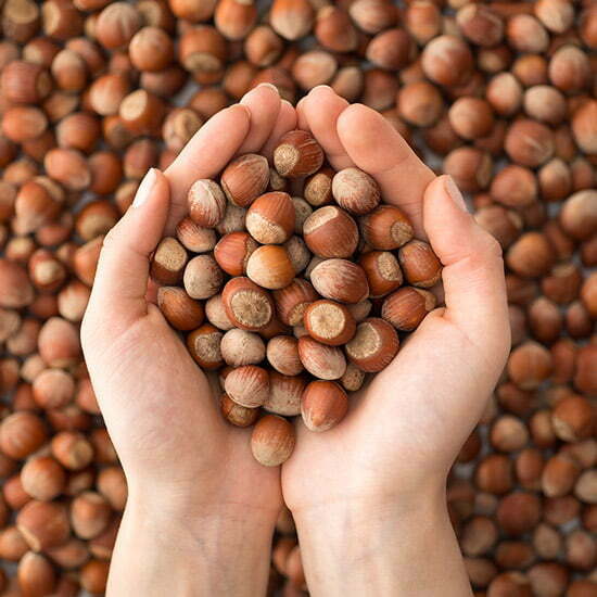 Haselnüsse sorgen für volle Vitaminpower Haselnüsse