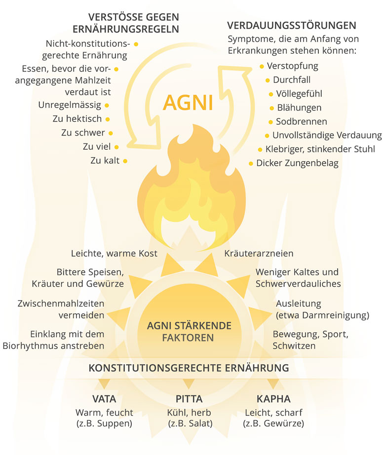 Ayurvedische Prinzipien von Agni und Ama für die Darmgesundheit